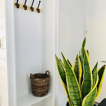 Auszeit 21 Mobilheim Beach Chalet Ferienhaus Ferienwohnung Scharbeutz